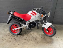 1990 Honda ZB50 DV1163 | Transport | Bromfiets / Motor