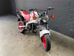 1990 Honda ZB50 DV1163 | Transport | Bromfiets / Motor