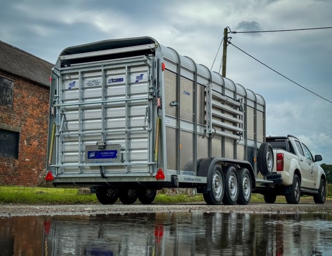 2025 Ifor Williams TA510 16x6 (497x178x182cm) Veetrailer 3-asser VT760 | Aanhangwagen | Veetrailer