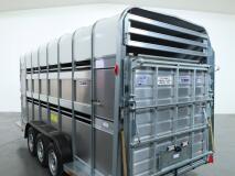 2026 Ifor Williams TA510 16x7 (497x178x212cm) Dubbeldeks Schapentrailer/ Veetrailer VT1087 | Aanhangwagen | Veetrailer