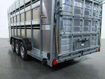 2026 Ifor Williams TA510 16x7 (497x178x212cm) Dubbeldeks Schapentrailer/ Veetrailer VT1087 | Aanhangwagen | Veetrailer